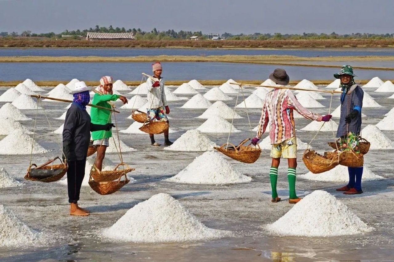 ការ​ប្រមូល​ផល​អំបិល​កំពត​-​កែប គិត​ត្រឹម​ចុងខែ​មេសា សម្រេចបាន​ប្រហែល ៦,៧​ ម៉ឺន​តោន