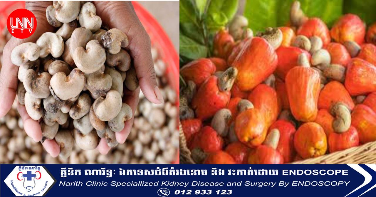 ការនាំចេញគ្រាប់ស្វាយចន្ទីឆៅកម្ពុជាទៅប្រទេសវៀតណាមសម្រេចបាន ៤៨ម៉ឺន៣ពាន់ តោន ថយចុះ ១៣% ធៀបនឹងរយៈពេលដូចគ្នាកាលពីឆ្នាំមុន