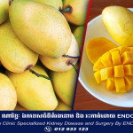 ជប៉ុន​សរសើរផ្លែស្វាយកម្ពុជាថា ឆ្ងាញ់ និងជំរុញបង្កើនការនាំចេញកសិផលខ្មែរទៅកាន់ទីផ្សារជប៉ុន
