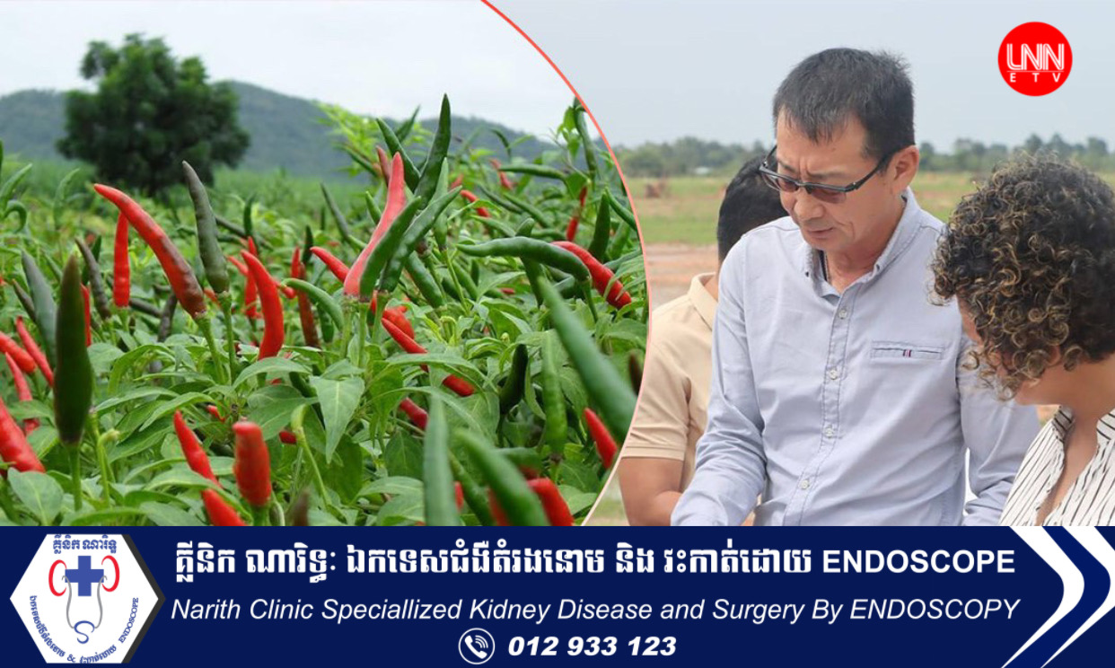 ជប៉ុនគ្រោង​វិនិយោគ ដាំ​ដំណាំ​ម្ទេស នាំចេញ​ក្រៅ​ប្រទេស ក្នុង​មួយ​ខែ​៥០០​តោន​ជា​រៀងរាល់ខែ