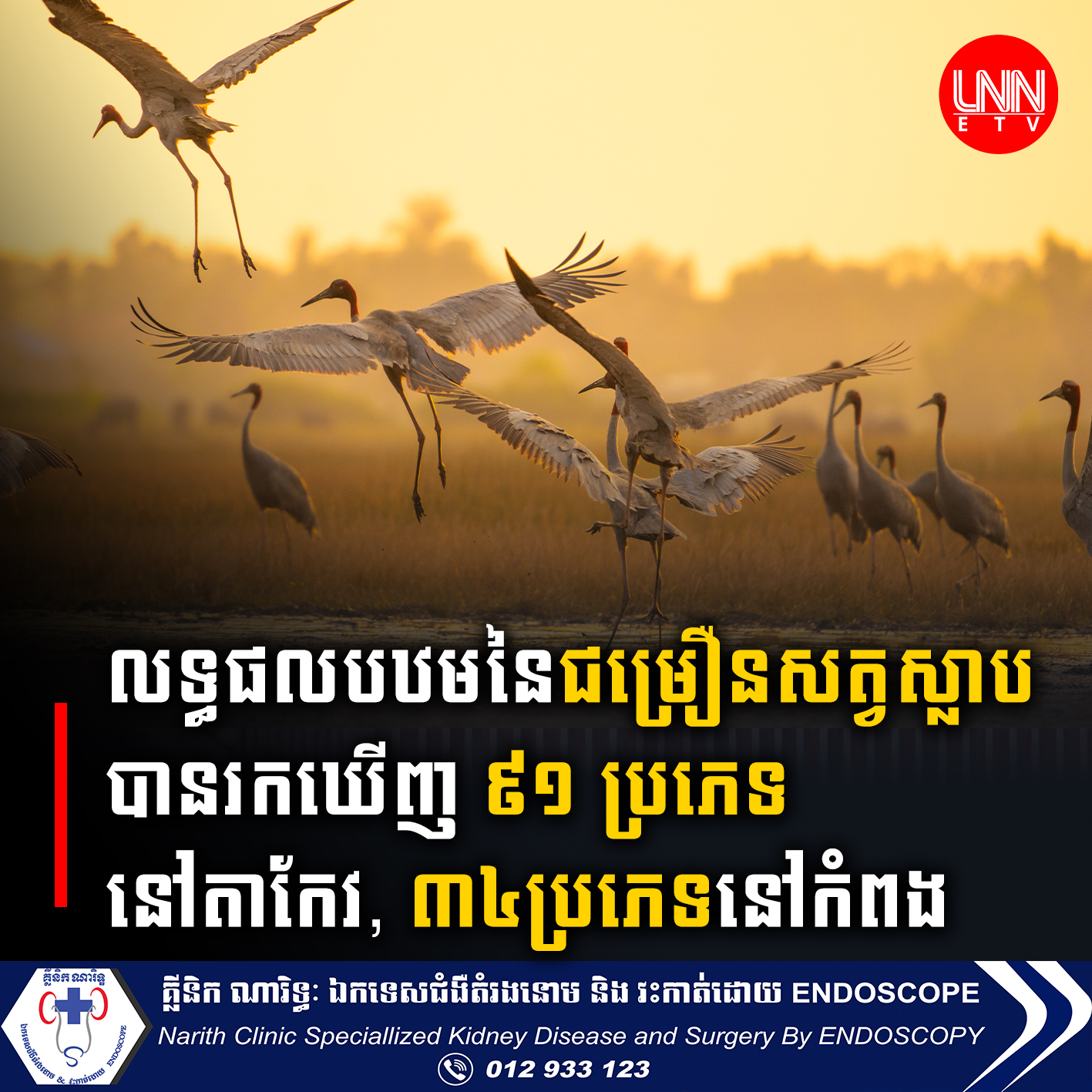 លទ្ធផលបឋមនៃជម្រឿនសត្វស្លាបបានរកឃើញ ៩១ ប្រភេទនៅខេត្តតាកែវ, ៣៤ប្រភេទទៀតនៅកំពត
