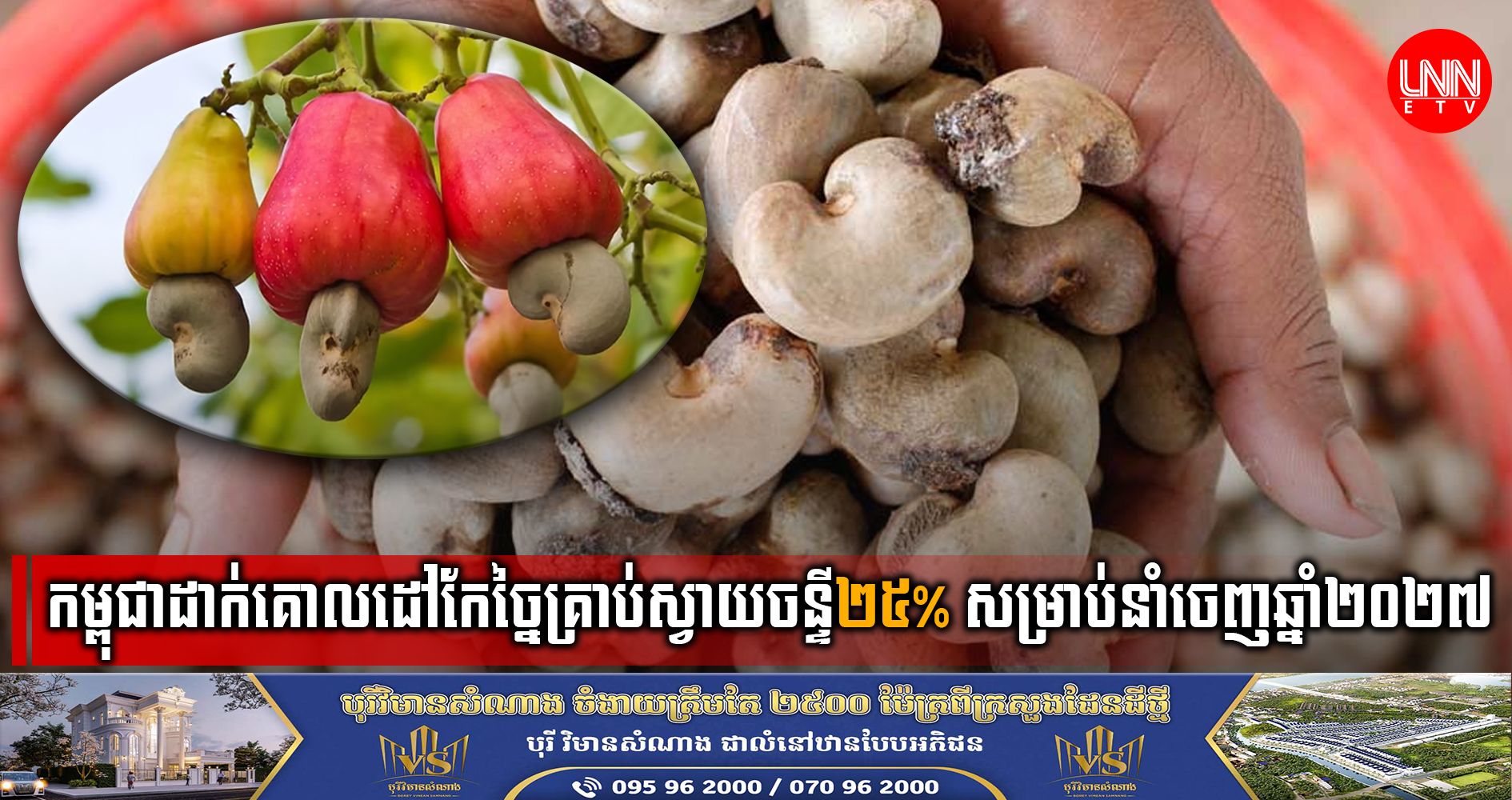 កម្ពុជាបានដាក់គោលដៅកែច្នៃទិន្នផលគ្រាប់ស្វាយចន្ទីឲ្យបាន២៥% សម្រាប់ការនាំចេញត្រឹមឆ្នាំ២០២៧