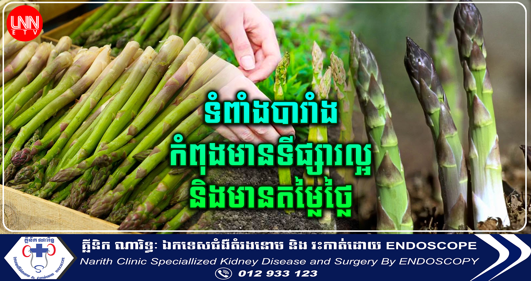 ដំណាំទំពាំងបារាំង កំពុងមានទីផ្សារល្អ និងមានតម្លៃថ្លៃ ប៉ុន្ដែមិនសូវសម្បូរអ្នកដាំ