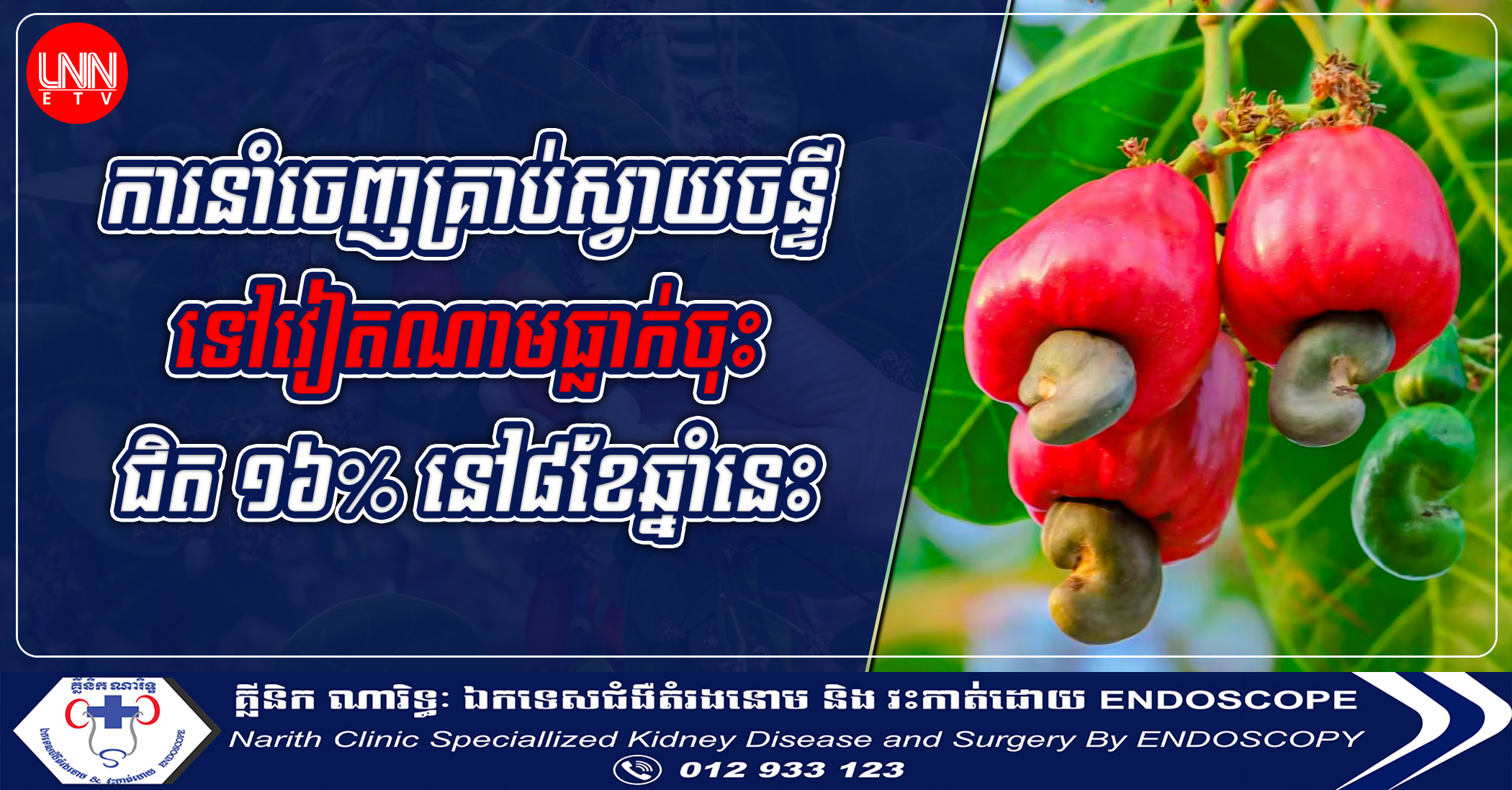 ការនាំចេញគ្រាប់ស្វាយចន្ទីទៅវៀតណាមធ្លាក់ចុះជិត១៦%នៅ៨ខែឆ្នាំនេះ ខណៈកង្វះដើមទុននៅតែជាបញ្ហាប្រឈមសម្រាប់វិស័យនេះ